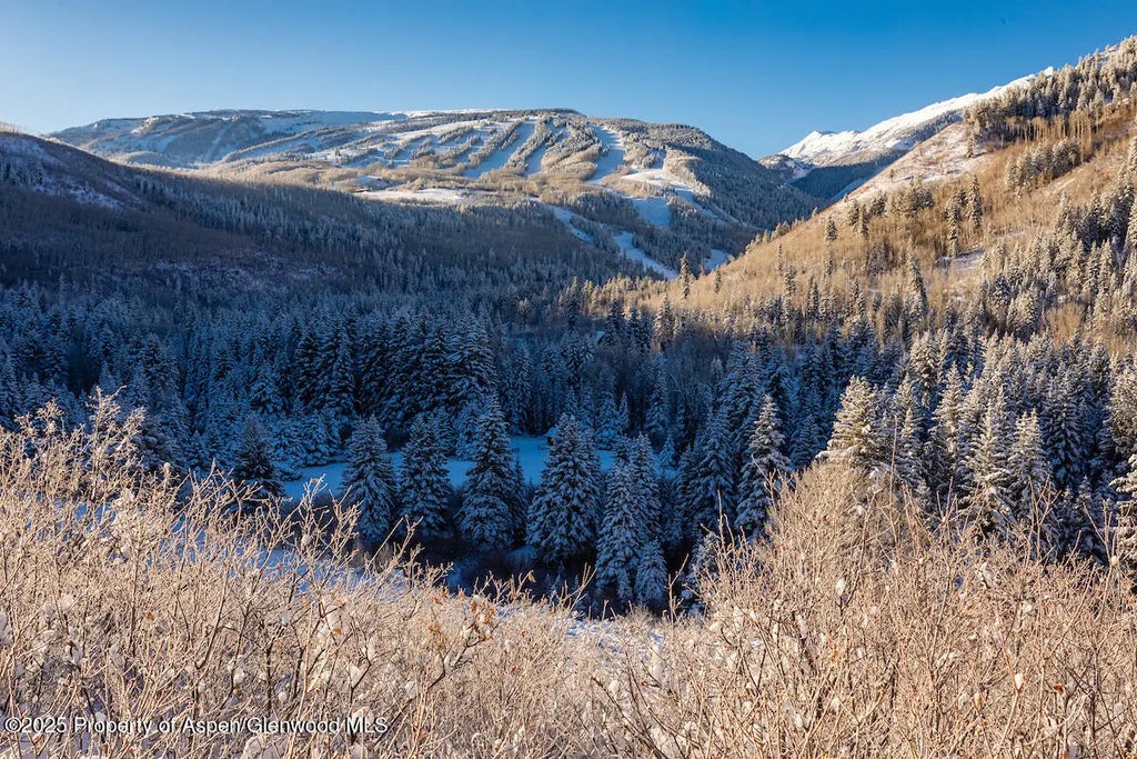 17 of 17 - 8500 & Tbd Snowmass Creek Road, Snowmass, CO