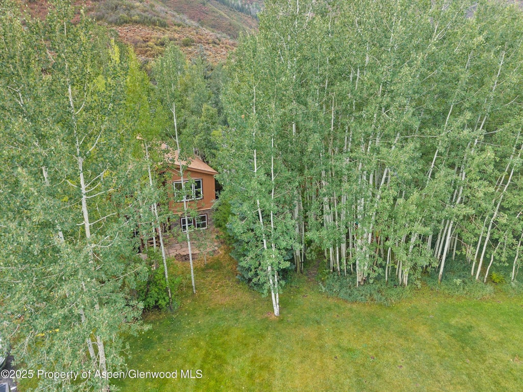 30 of 37 - 111 Ridge Trail, Aspen, CO