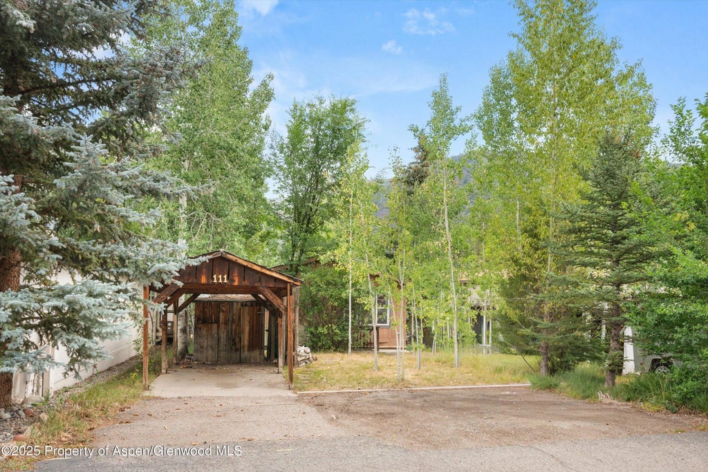 6 of 37 - 111 Ridge Trail, Aspen, CO