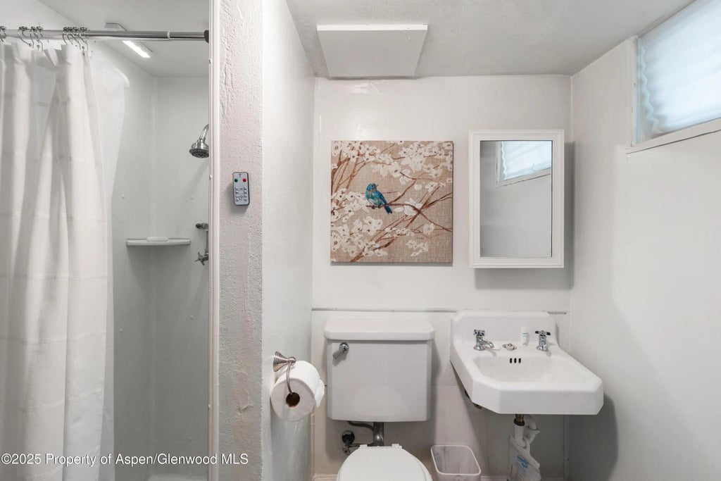 18 of 36 - 519 Maple Street, Glenwood Springs, CO