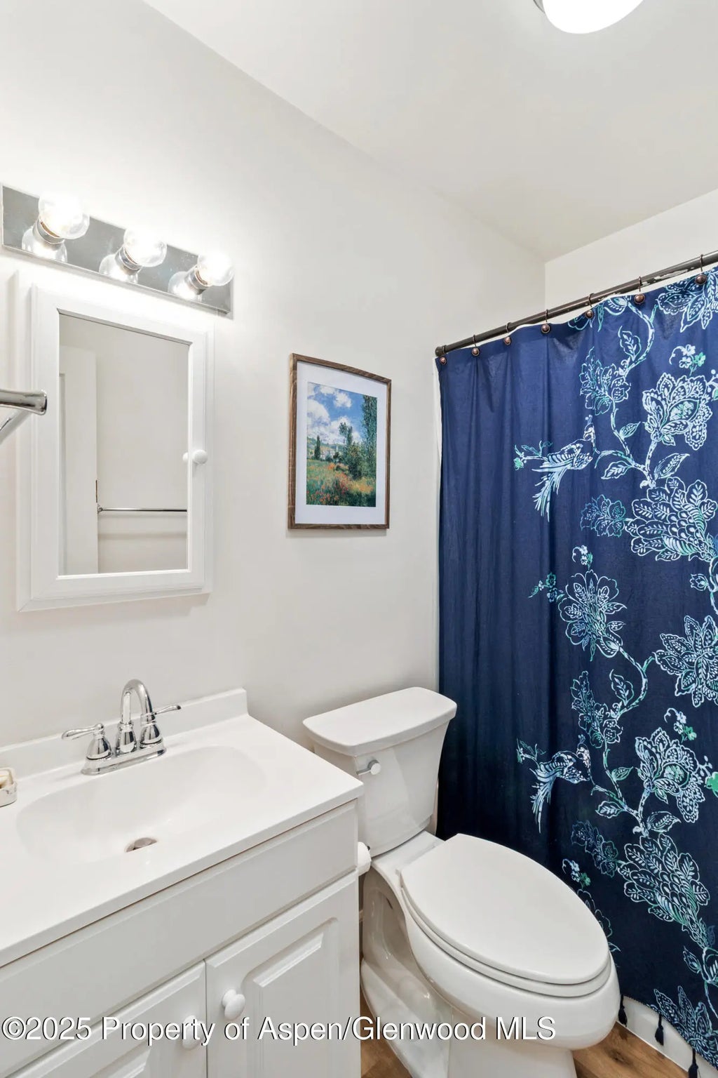 9 of 36 - 519 Maple Street, Glenwood Springs, CO