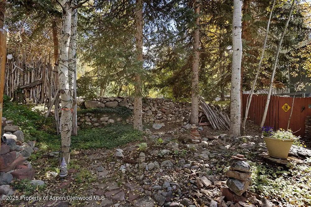 31 of 32 - 311 Midland Avenue, Aspen, CO