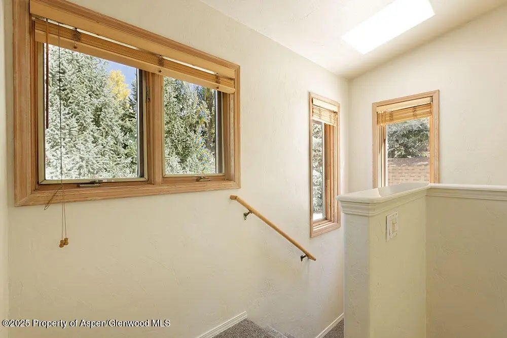 9 of 32 - 311 Midland Avenue, Aspen, CO