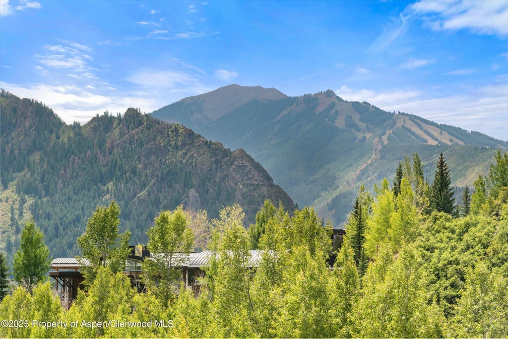 29 of 37 - 927 Red Mountain Road, Aspen, CO