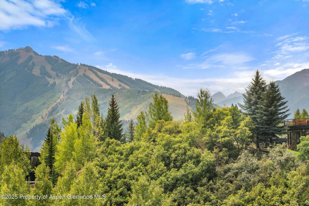 32 of 37 - 927 Red Mountain Road, Aspen, CO