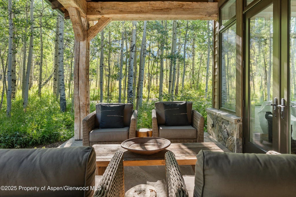 10 of 42 - 9555 Castle Creek Road, Aspen, CO