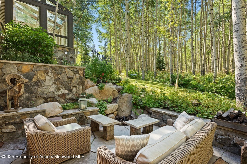 22 of 42 - 9555 Castle Creek Road, Aspen, CO