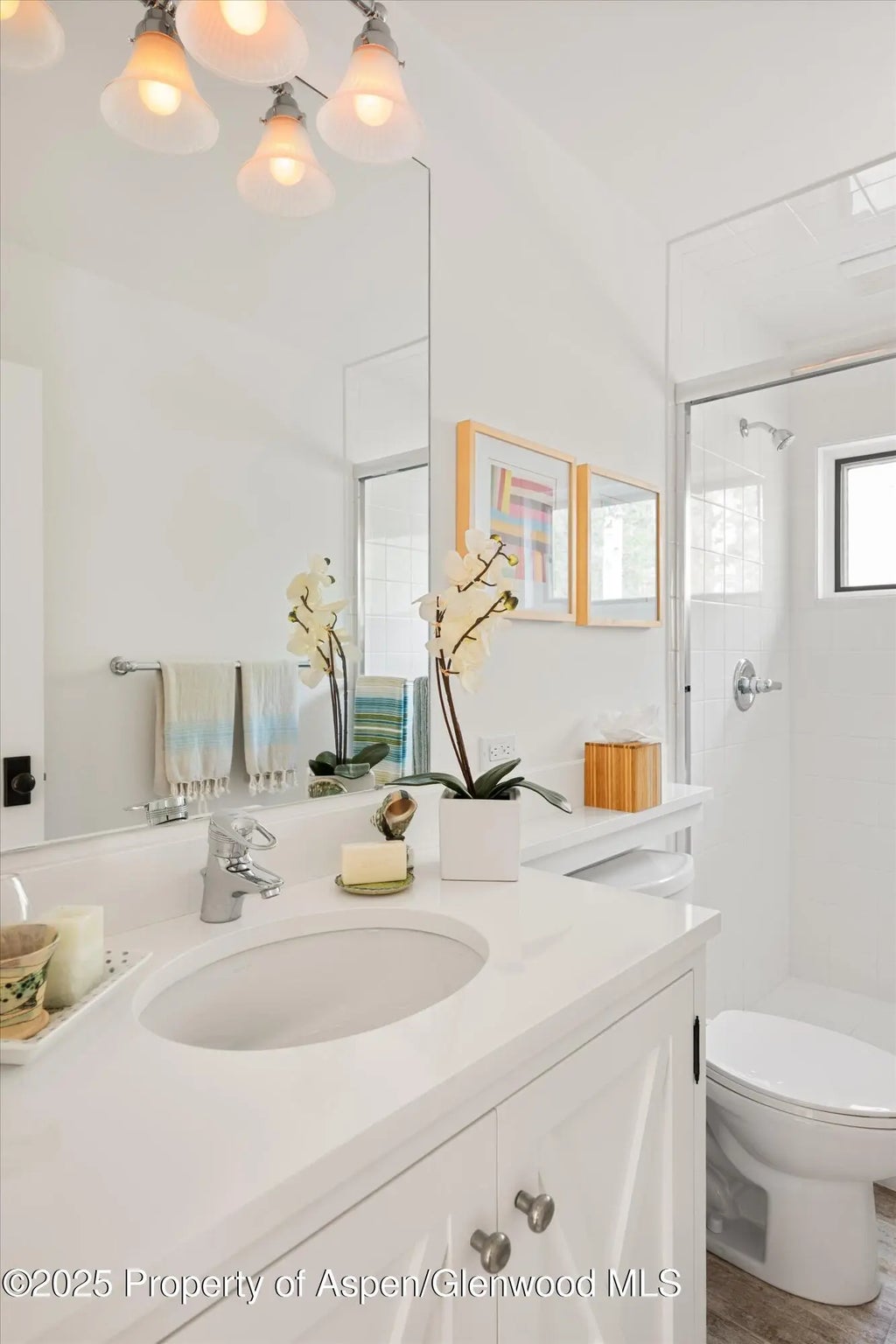 30 of 42 - 9555 Castle Creek Road, Aspen, CO