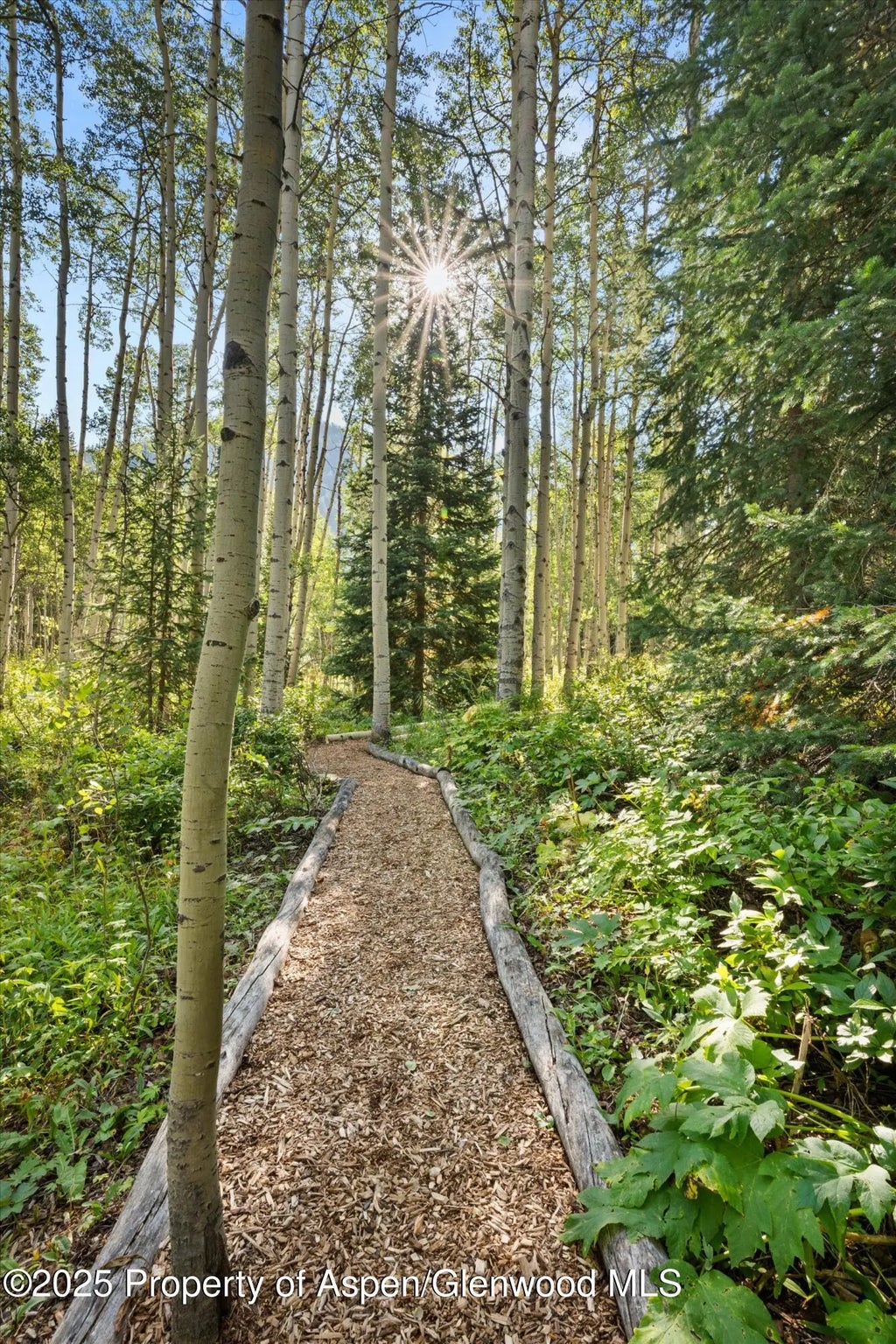 33 of 42 - 9555 Castle Creek Road, Aspen, CO