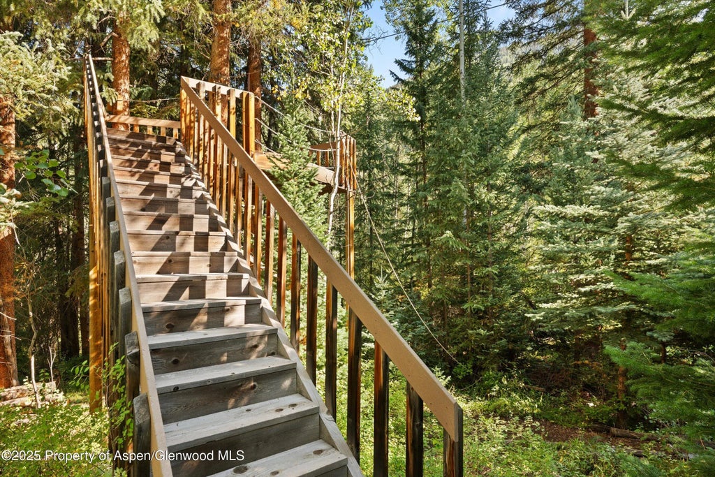 38 of 42 - 9555 Castle Creek Road, Aspen, CO
