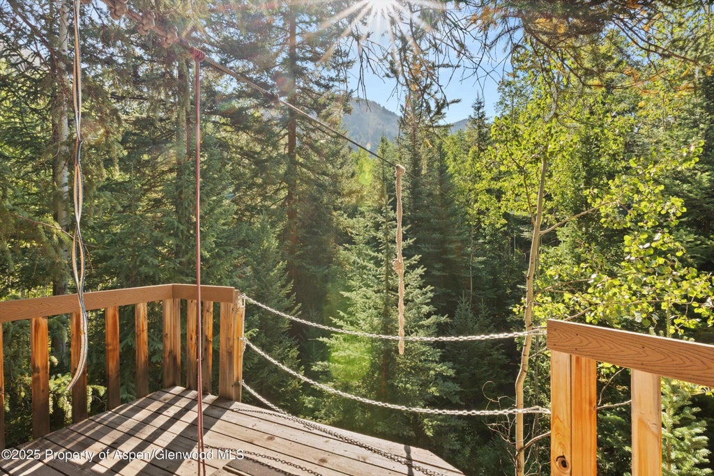 39 of 42 - 9555 Castle Creek Road, Aspen, CO