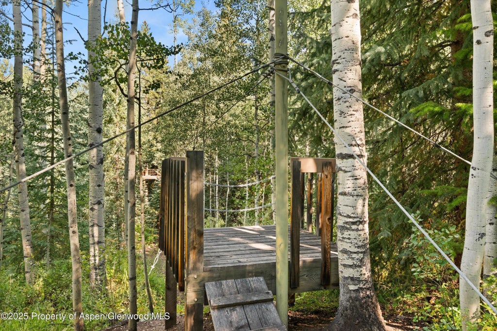 40 of 42 - 9555 Castle Creek Road, Aspen, CO