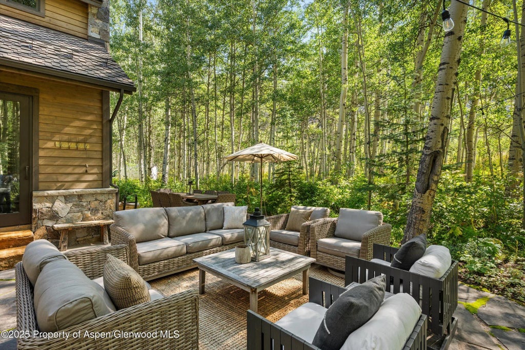 5 of 42 - 9555 Castle Creek Road, Aspen, CO