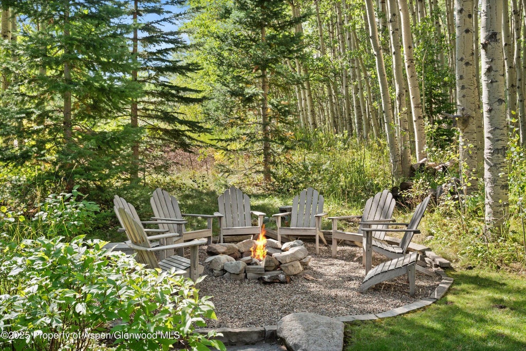 6 of 42 - 9555 Castle Creek Road, Aspen, CO