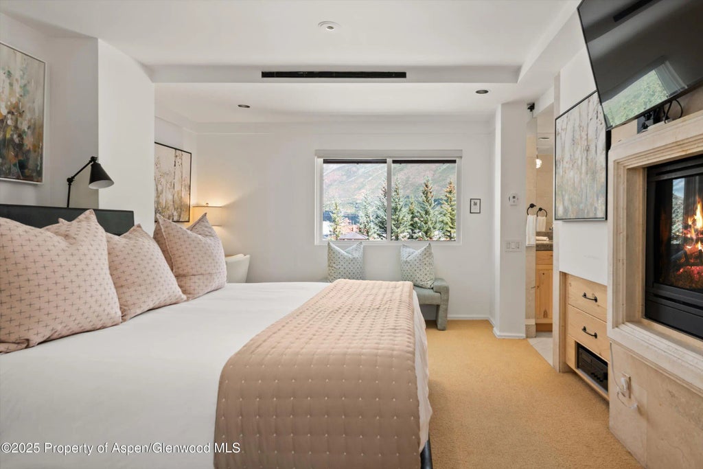 10 of 31 - 650 S Monarch Street Unit 11, Aspen, CO