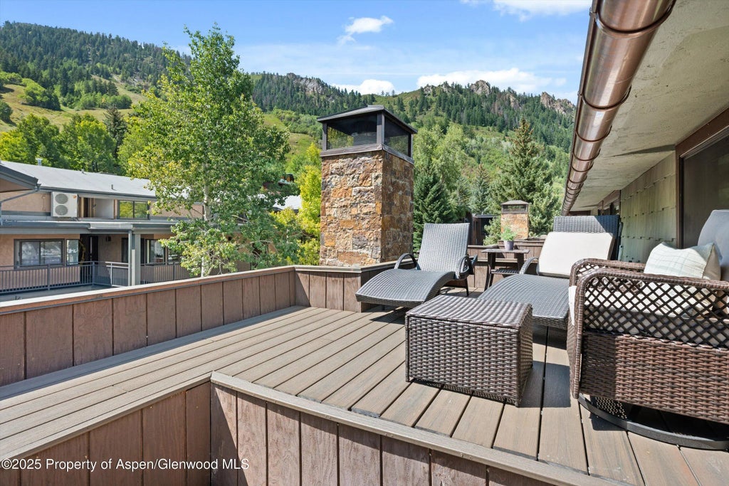 14 of 31 - 650 S Monarch Street Unit 11, Aspen, CO