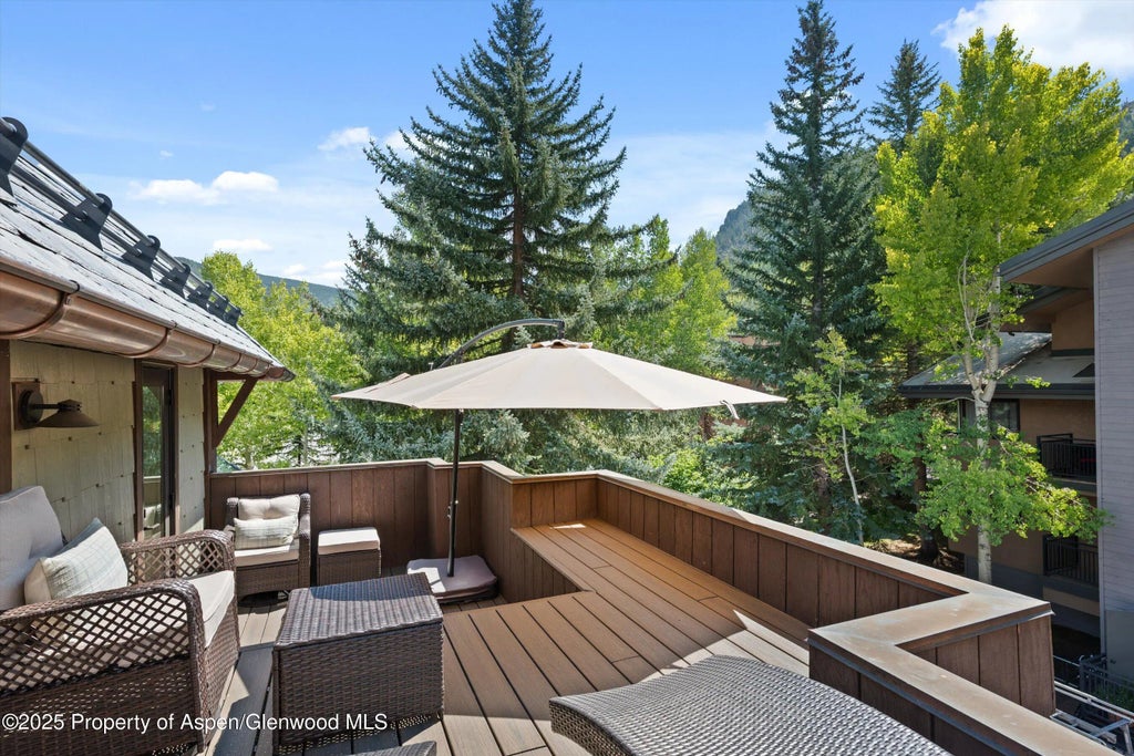 15 of 31 - 650 S Monarch Street Unit 11, Aspen, CO