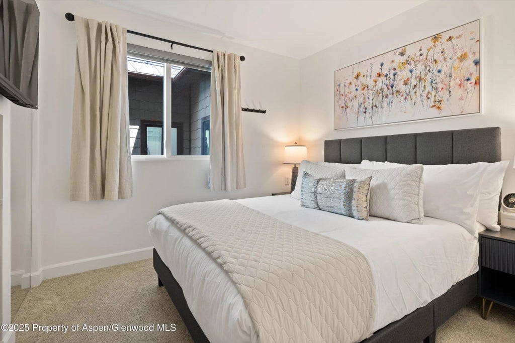 17 of 31 - 650 S Monarch Street Unit 11, Aspen, CO