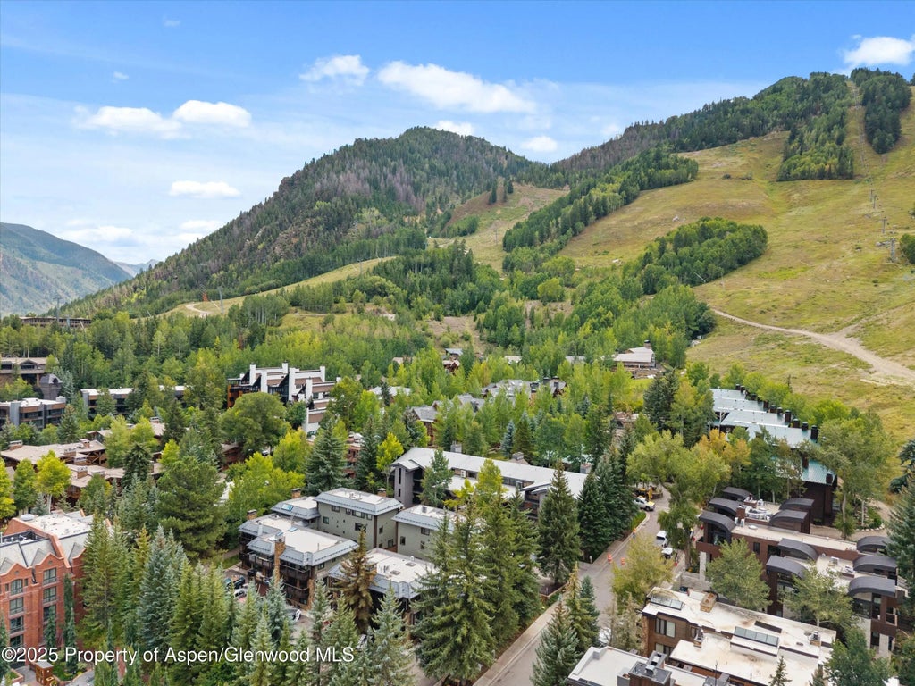 31 of 31 - 650 S Monarch Street Unit 11, Aspen, CO