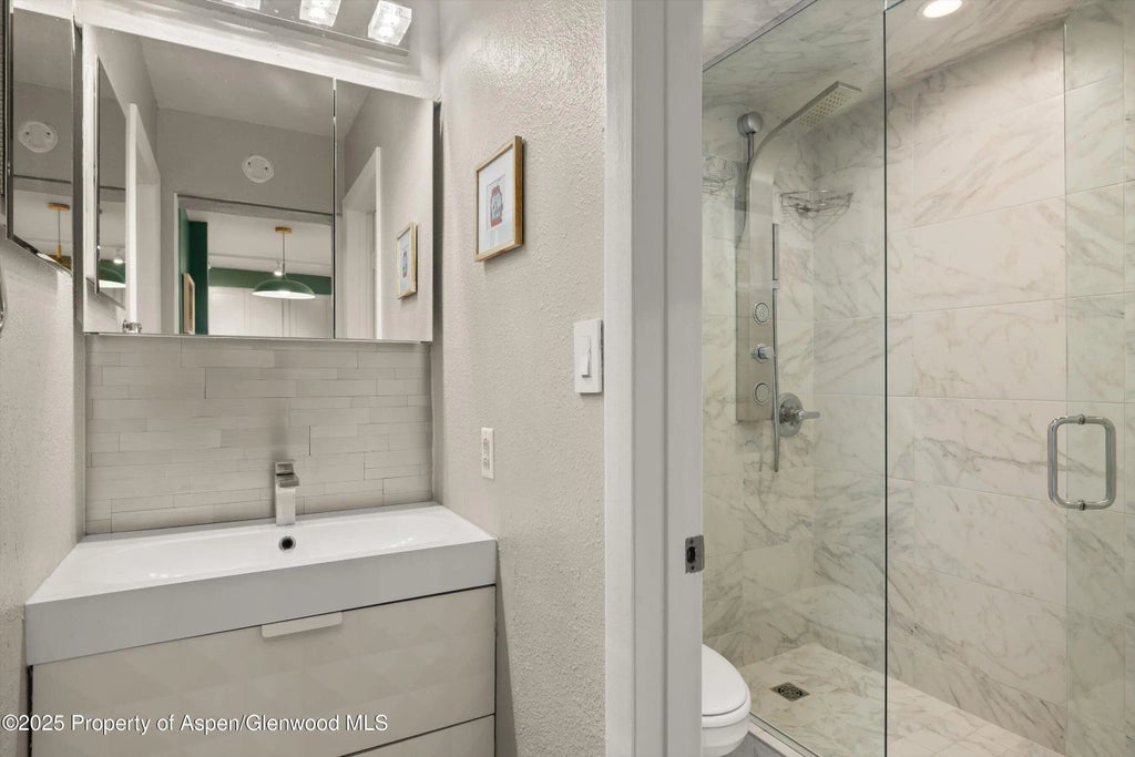 14 of 24 - 950 Vine Street, Aspen, CO