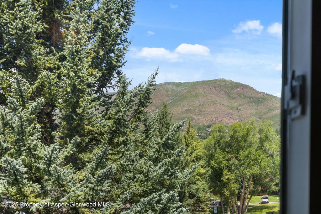 20 of 24 - 950 Vine Street, Aspen, CO