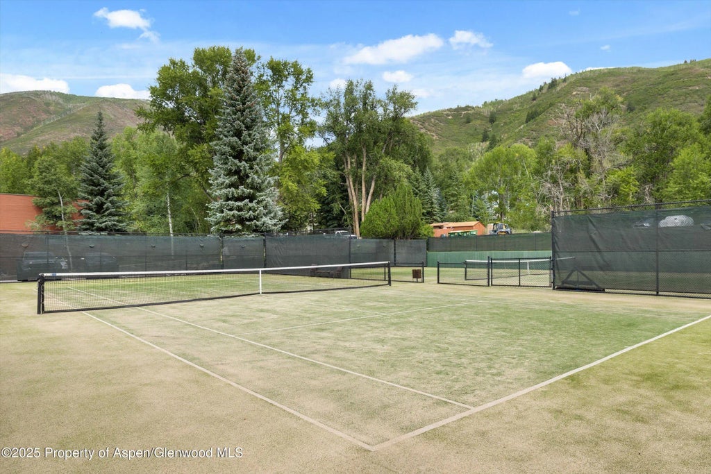 24 of 24 - 950 Vine Street, Aspen, CO