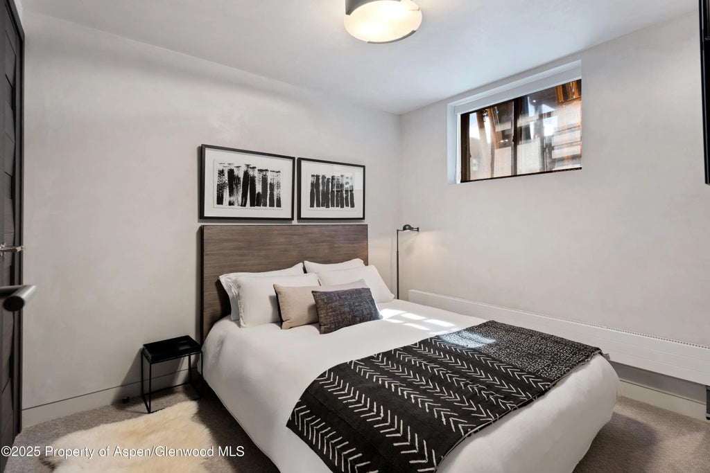 14 of 19 - 124 E Durant Avenue 7, Aspen, CO