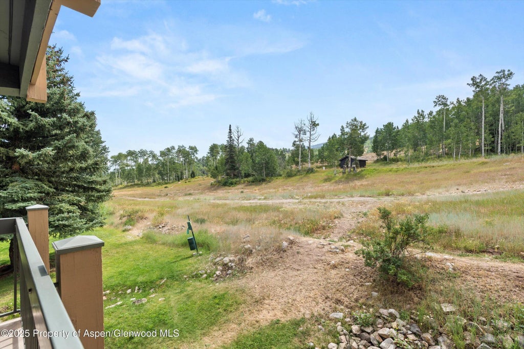 19 of 21 - 855 Carriage Way Summit 203, Snowmass Village, CO