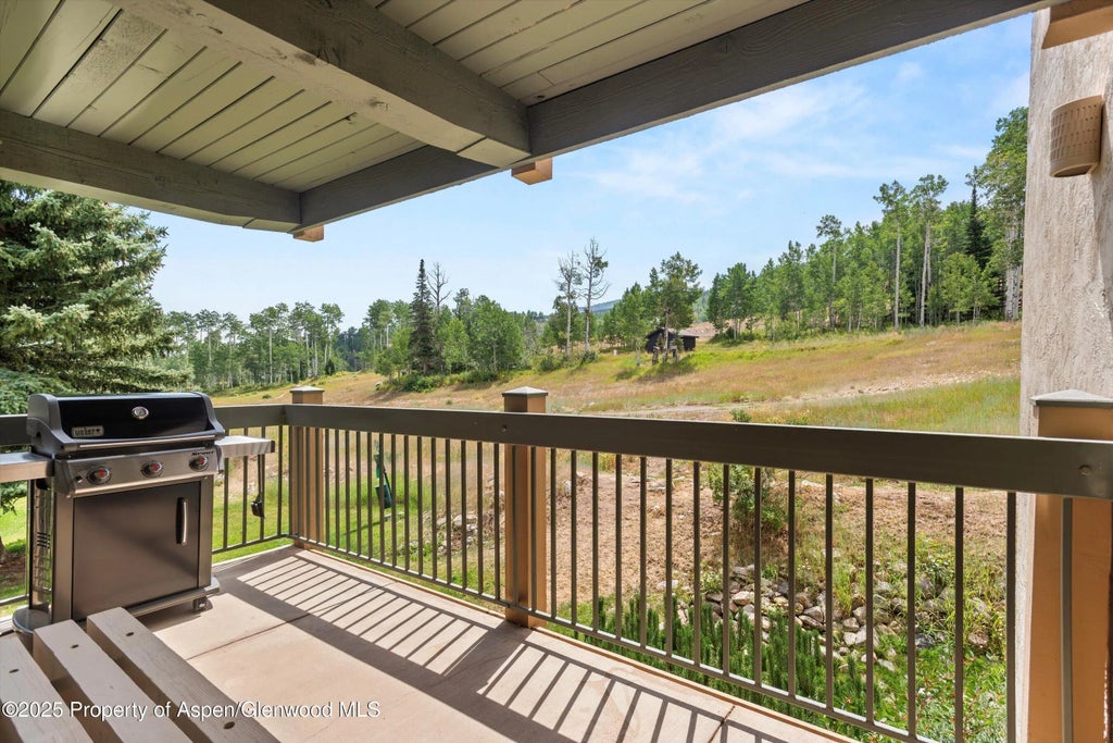 4 of 21 - 855 Carriage Way Summit 203, Snowmass Village, CO