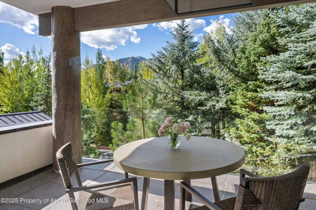 27 of 35 - 155 Nighthawk Drive, Aspen, CO