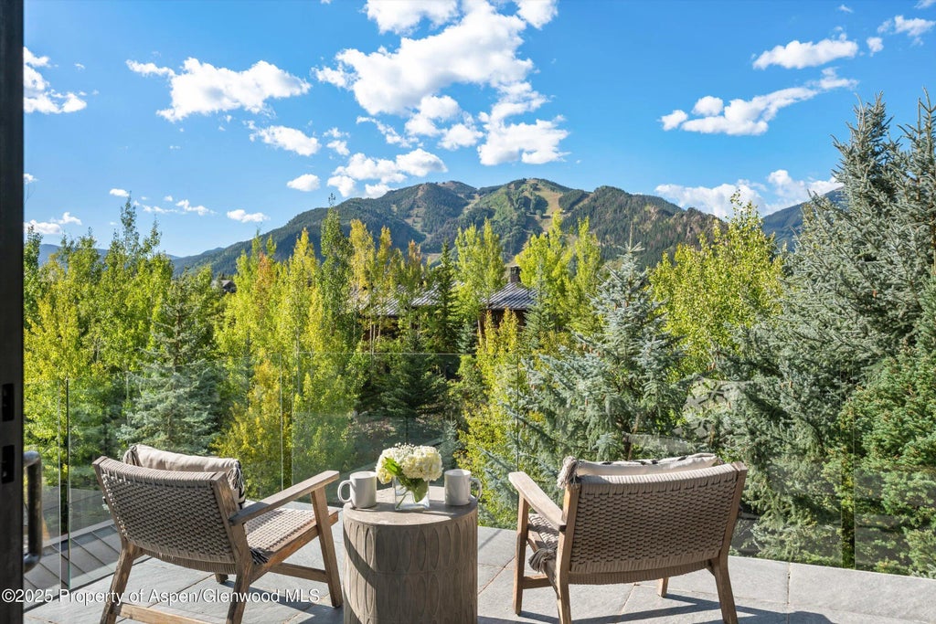3 of 35 - 155 Nighthawk Drive, Aspen, CO