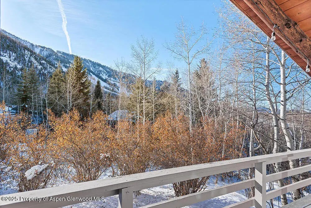 19 of 20 - 1215 Riverside Drive, Aspen, CO