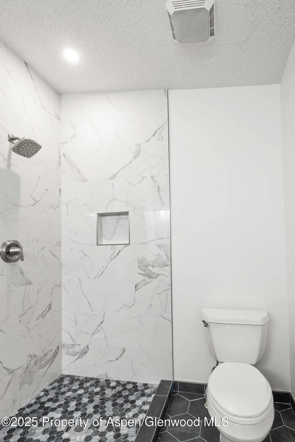 9 of 24 - 161 James Circle, ElJebel, CO