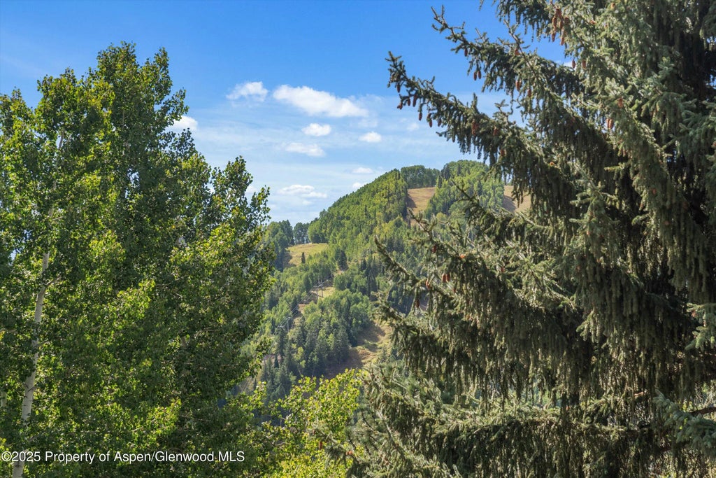 8 of 59 - 500 W Francis Street, Aspen, CO