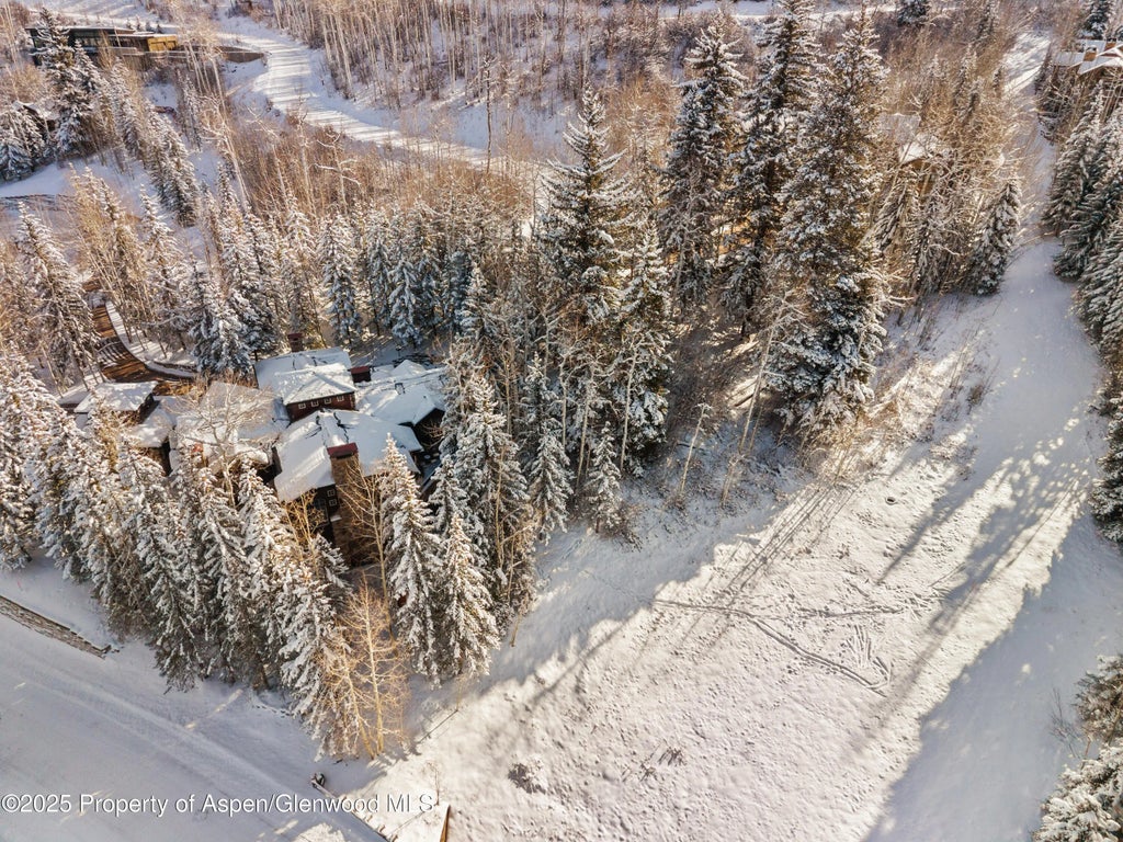 47 of 49 - 81 Spruce Ridge Lane, Snowmass Village, CO