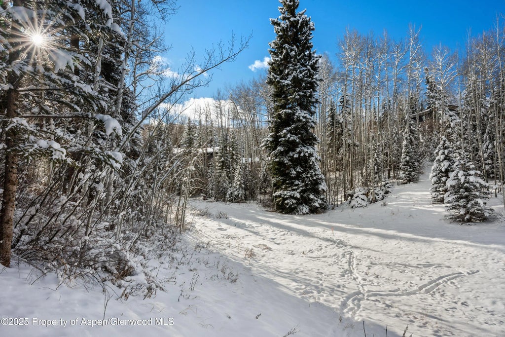 48 of 49 - 81 Spruce Ridge Lane, Snowmass Village, CO