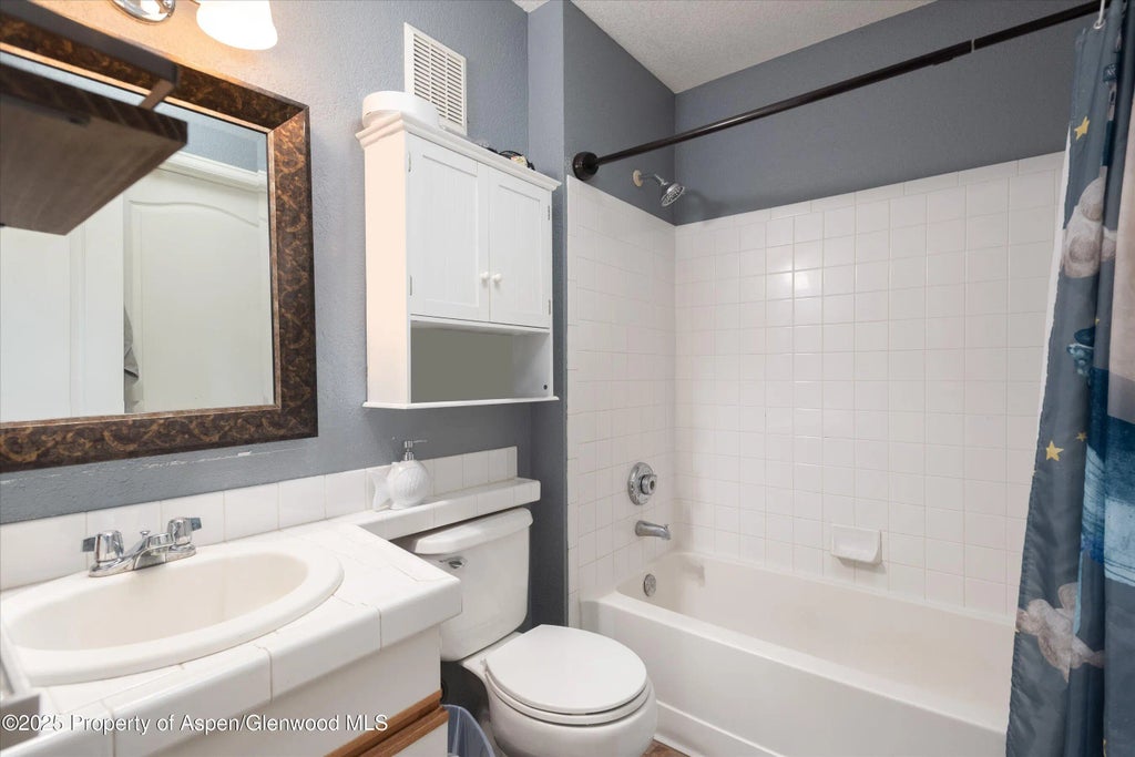 11 of 14 - 7203 Elk Lane, Basalt, CO