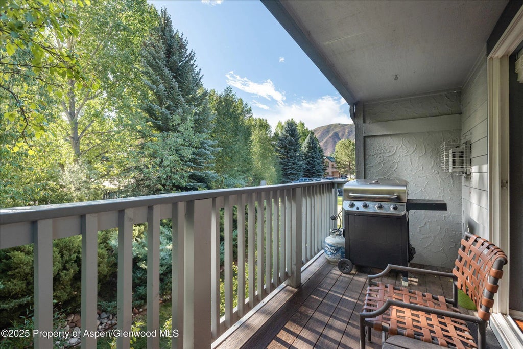 12 of 14 - 7203 Elk Lane, Basalt, CO
