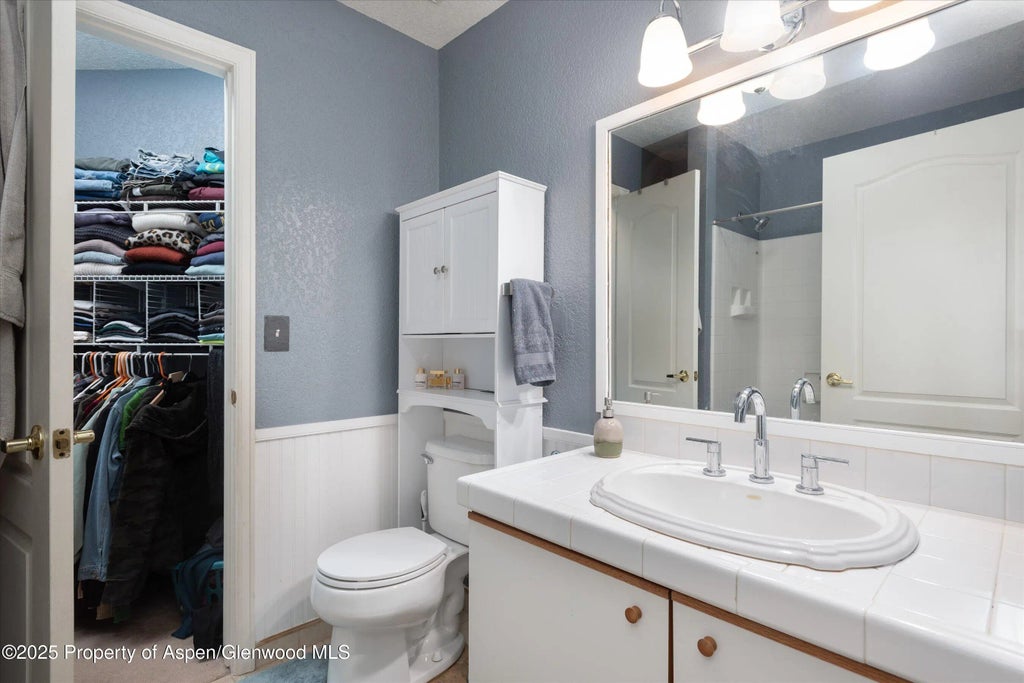 7 of 14 - 7203 Elk Lane, Basalt, CO