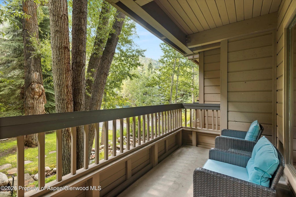 12 of 51 - 610 S West End Street D206, Aspen, CO