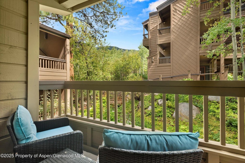 14 of 51 - 610 S West End Street D206, Aspen, CO