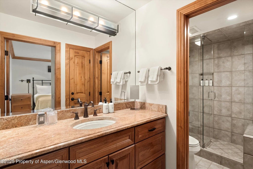 15 of 51 - 610 S West End Street D206, Aspen, CO