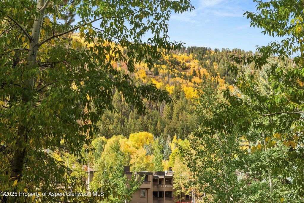 21 of 51 - 610 S West End Street D206, Aspen, CO