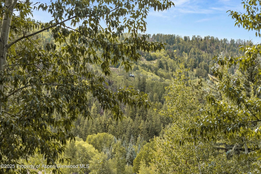 29 of 51 - 610 S West End Street D206, Aspen, CO