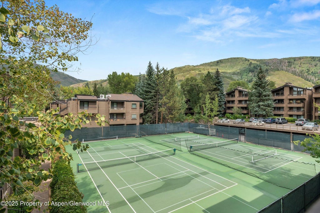 30 of 51 - 610 S West End Street D206, Aspen, CO