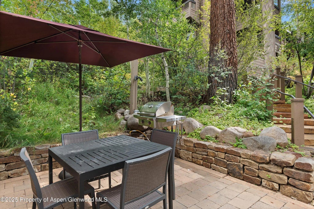 33 of 51 - 610 S West End Street D206, Aspen, CO