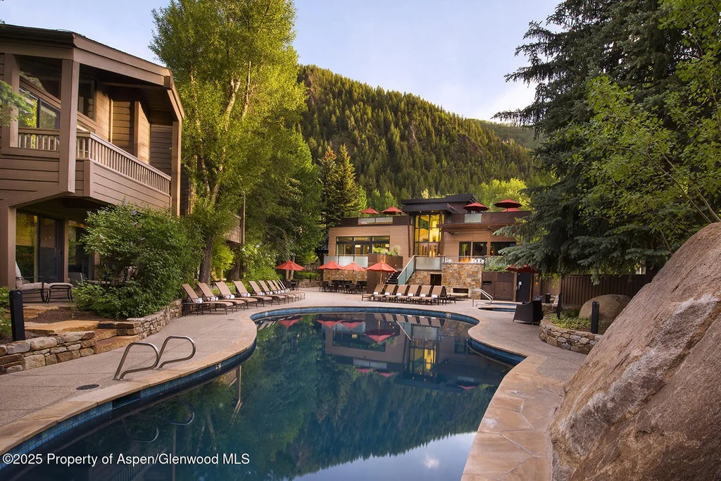 34 of 51 - 610 S West End Street D206, Aspen, CO