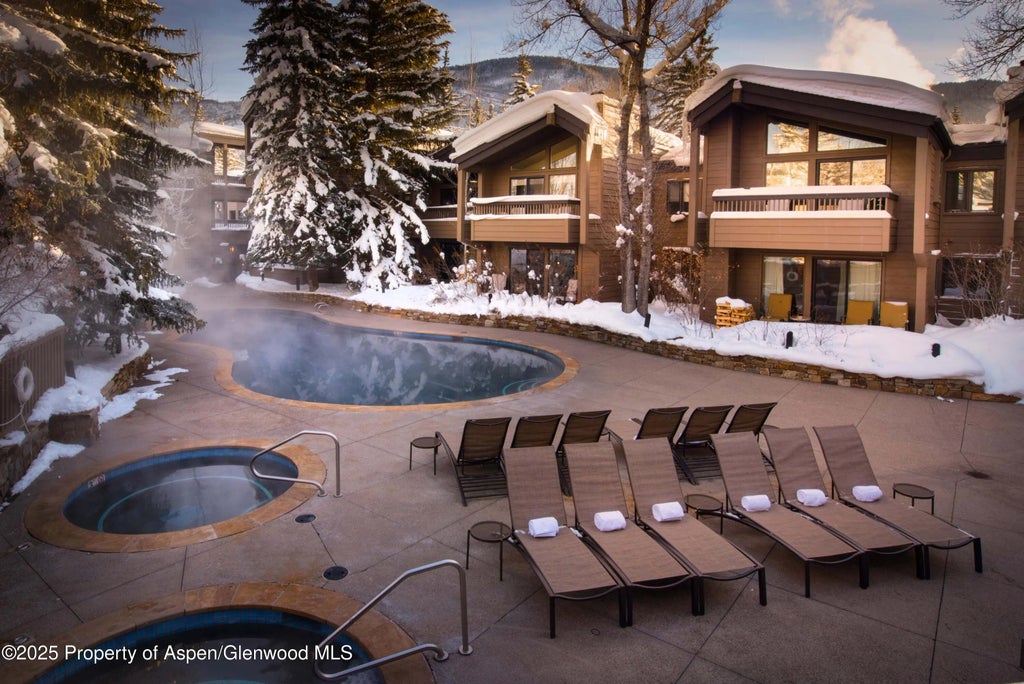 35 of 51 - 610 S West End Street D206, Aspen, CO