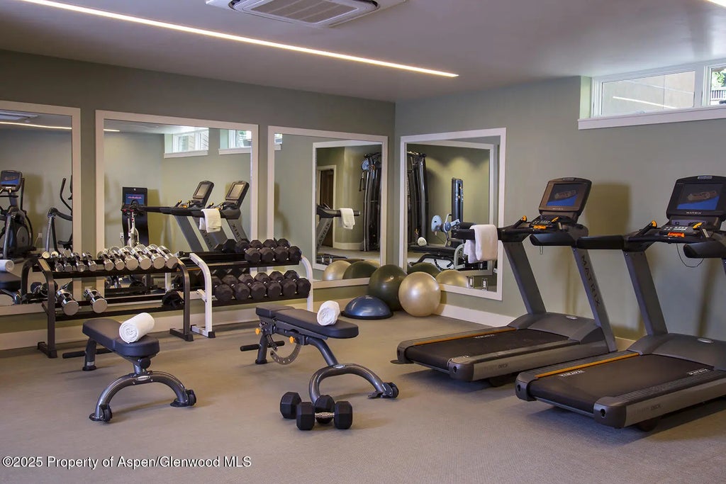 37 of 51 - 610 S West End Street D206, Aspen, CO