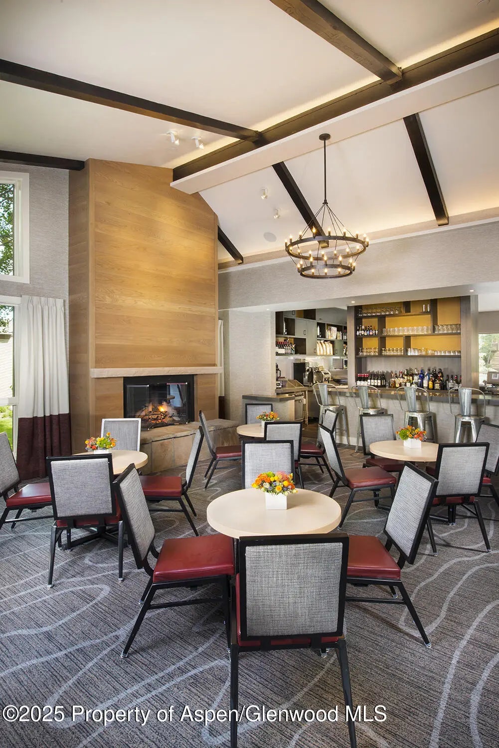 39 of 51 - 610 S West End Street D206, Aspen, CO